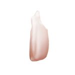 Aceite-Labial-TheBalm-Nude-not-Crude