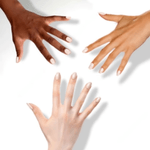 1027398_2.png