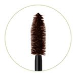 Large-Lash-Mascara-Close-Up-Brush-Best-Brown.jpg