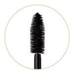 Large-Lash-Mascara-Close-Up-Brush-Bold-Black.jpg