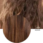 ly_multi-peptide_shampoo_step_4p_7_before-after_1738692661_1024x1024